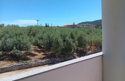 ZOGRAFOS SPIROS Rooms - Foto 3