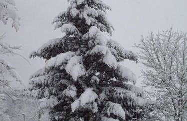 Chalet de Grettery - Foto 25