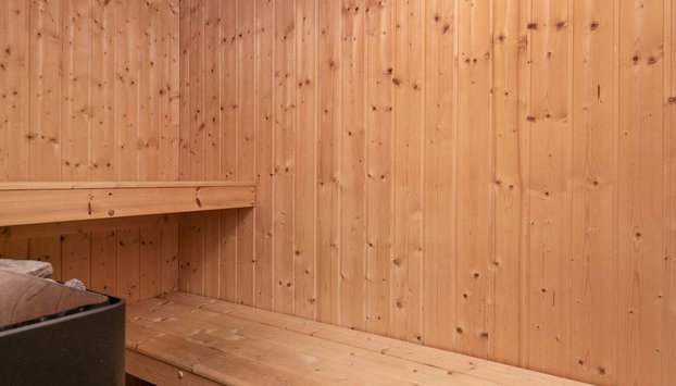 5 Star Holiday Home in Lemvig - Foto 2, Sauna