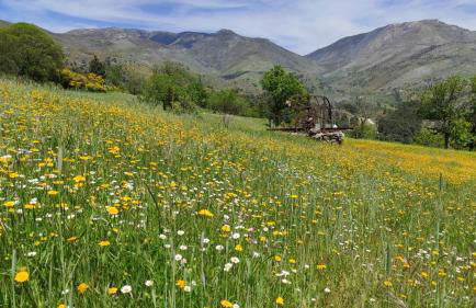 Quinta do Torgal - Alojamento Local - Foto 24