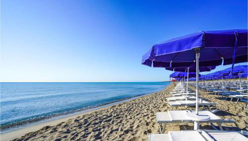 Danaide Trilo - Photo 5