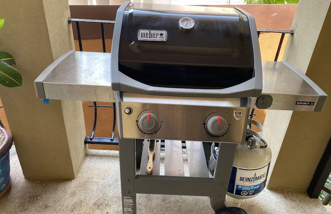 Monte Carlo Luxury Condominiums - Foto 39