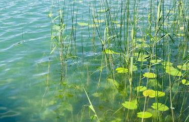 Blue Lake Villa - Foto 41