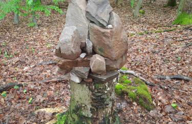 Ferienwohnung Kirschenknupp - Foto 6