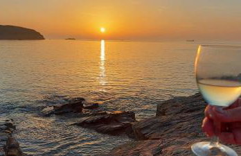 Ocean View - Ground Floor Cottage Apartment - Little Haven - Foto 47