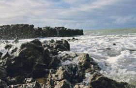 Apartamento Aconchego de Carapibus - Photo 32