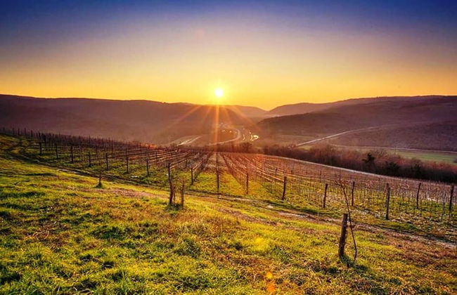 Holiday Home Daska - Photo 19