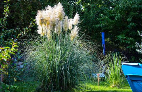 Haus Sybille - Foto 35