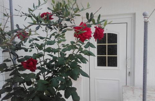 Apartments Dvorski - Photo 15