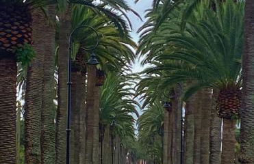 La Casita de Omar en el corazón de Anaga y La Laguna - Foto 54