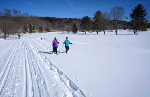 Newton Village 1A - Foto 34