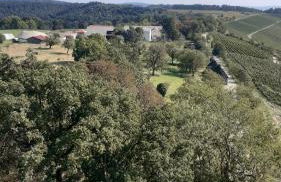 Bottwartal Apartment mit eigenem Eingang, top ruhige Lage, gemütliches Häusle für sich alleine - Foto 24