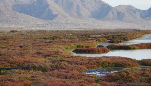 Precioso apartamento en Cabo de Gata - Foto 5