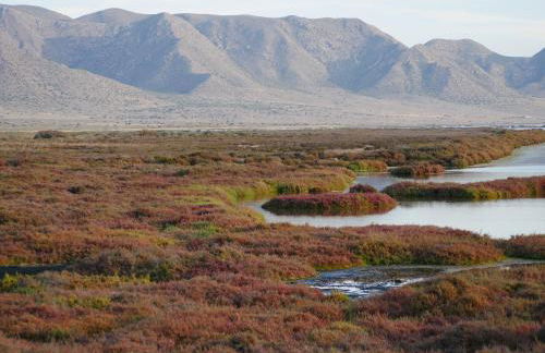 Precioso apartamento en Cabo de Gata - Foto 5