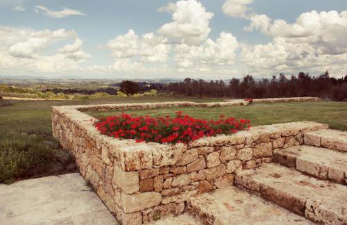 Agriturismo Humile - Foto 16