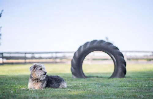 Ferienhaus S`bunde Heisle - Foto 11
