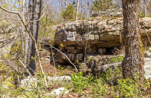 Baca Cabin Near Compton, Ponca, Buffalo River, Trails - Foto 18