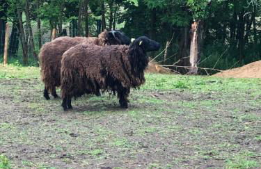 Le Hameau du Peu - Foto 28