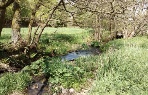 Ferienwohnung am Reinhardswald - Eichenlaub - mit Sauna - Foto 34