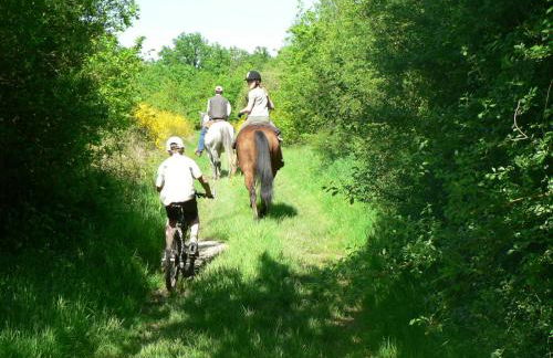 Les prés du petit Morlu - proche Beauval - Foto 27