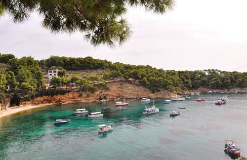 Pension Dimitris - Photo 23