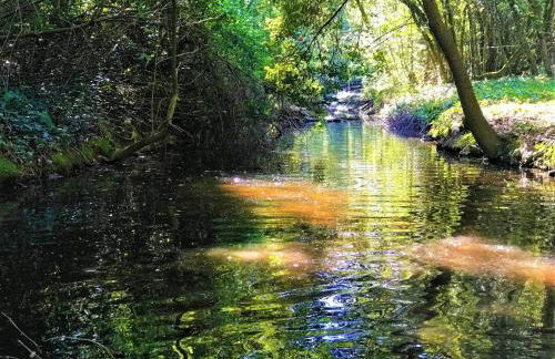 Monet - Mas de Rey - Photo 28