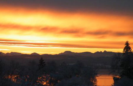 FeWo Himbeerweg - Foto 13