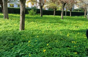 Apartment Sun & Sea - Casa Vacanze Vista Mare - Foto 39