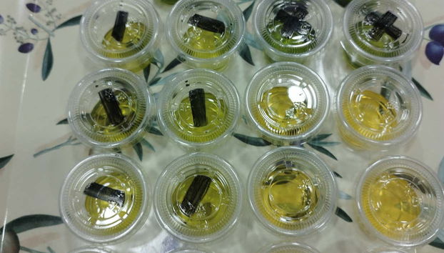 I diversi oli che assaggeremo