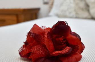 Cheryl Guest House - Foto 21