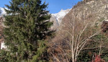 Foyer Grand Ru - Foto 4