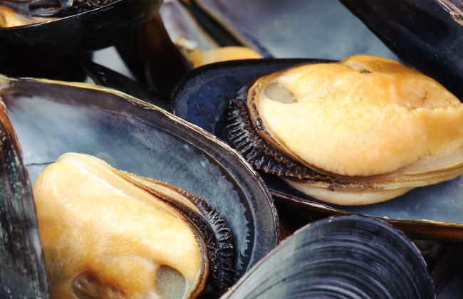 Paseo en barco por la ría + Degustación de mejillones - Foto 7