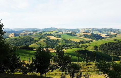 Il Casale del Duca - Foto 54