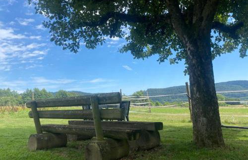 Minalya Home - Foto 6