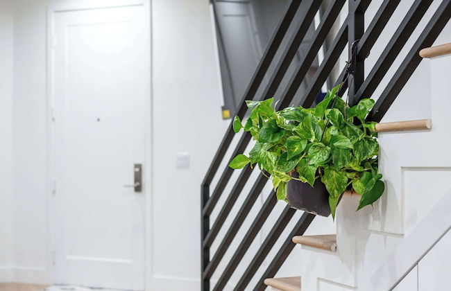 Not Affected by the Fire/modern 5BR Home With Parking, Near LA Attractions #4 - Foto 60