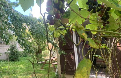 Parking privatif gratuit I Paris, Tram 9mim I RER C15min - Foto 29