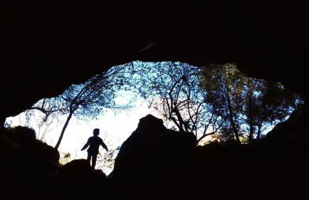 Boscoscuro - Foto 27