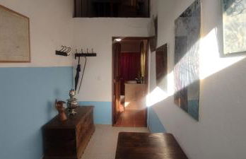 Solar Verbena - Foto 18