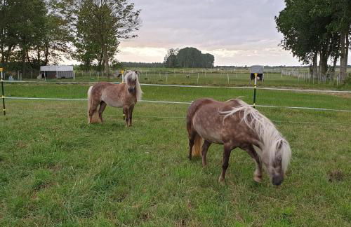 Großes Meer - Foto 14