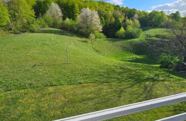 Apartman Mile - Holiday house - Foto 12