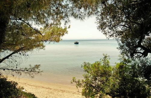 Moriel Seaside Homes Suites - Photo 38