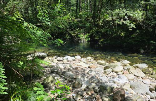 Campomuiños - Foto 27