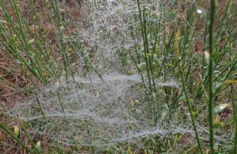 Holiday Home Pinto Béla by Interhome - Photo 26