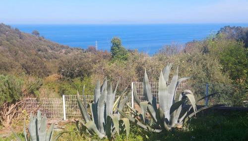 Studio terrasse climatisé VUE MER avec parking - Foto 2