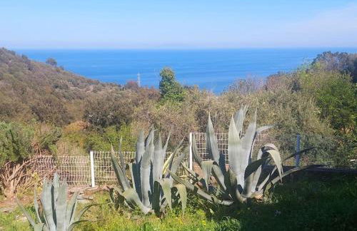 Studio terrasse climatisé VUE MER avec parking - Foto 2