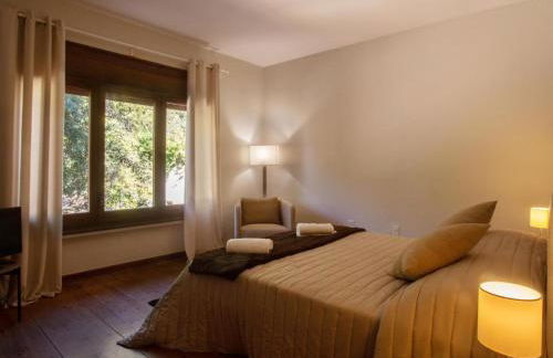 Petit Castanyer - Foto 11