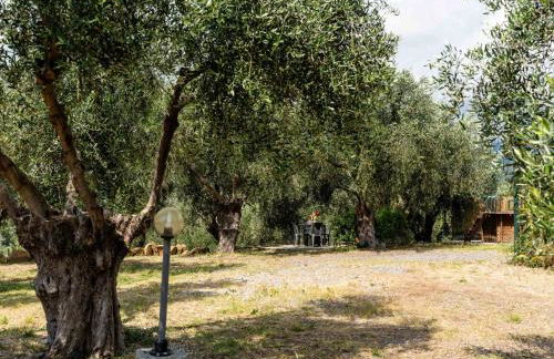 Apartment Garden by Interhome - Foto 38