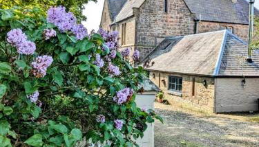 Stable Lodge - Foto 4