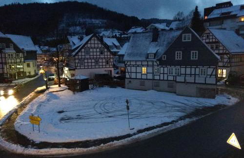 FeWo 12 45qm bis 3 Pers nahe Winterberg - Foto 16