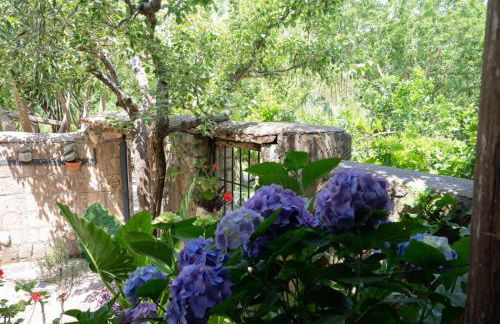 Melly's home country house alle pendici del Partenio - Foto 22